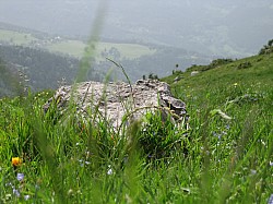 070525TourEucor07_remue016.jpg