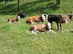 070527TourEucor07_remue058.jpg