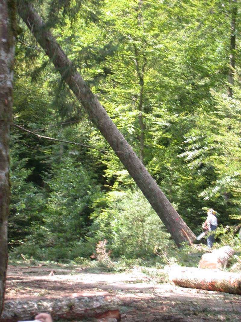 030722cp9_50.JPG