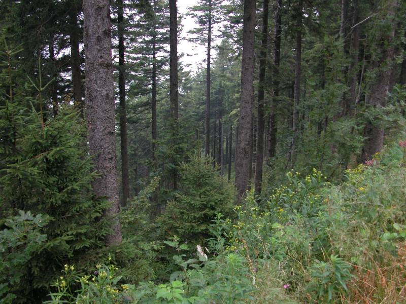 030724_006.jpg
