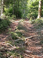 030722cp9_22.JPG