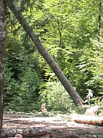 030722cp9_50.JPG