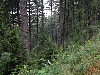 030724_006.jpg