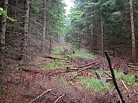 030724_037.jpg