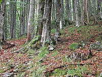 030724_041.jpg