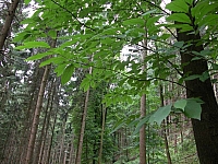 030724_085.jpg