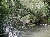 030728_036.jpg