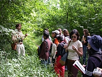 030728cp9_049.JPG