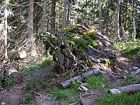 030728cp9_111.JPG