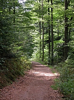 030729_024.jpg