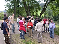 030729cp9_010.JPG