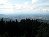 030731_053.jpg