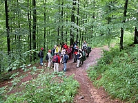 040713_054.JPG