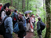 040713_056.JPG