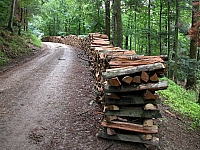 040713_069.JPG