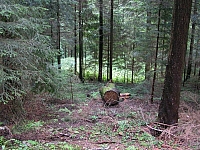 040714_026.JPG