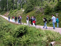 040714_049.JPG