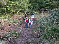 040716_005.JPG
