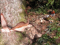 040716_050.JPG