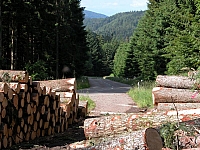 040716_054.JPG