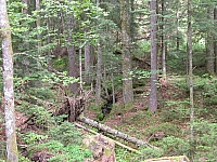 040716_092.JPG