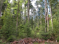 040716_095.JPG