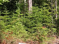 040716_100.JPG