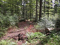 040716_106.JPG