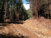 040716_148.JPG