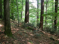 040719_013.JPG