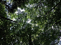 040719_014.JPG
