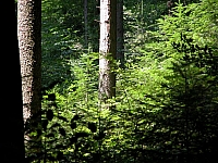 040719_016.JPG