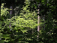 040719_023.JPG