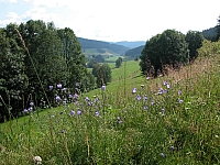 040721_028.JPG