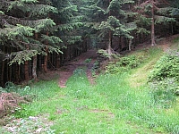 040721_039.JPG