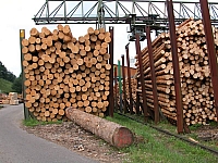 040723_010.JPG