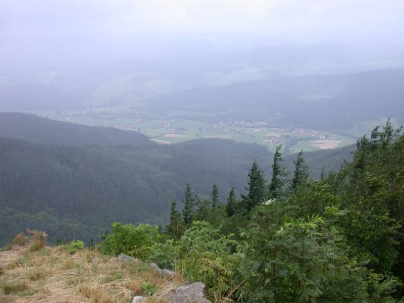050719CP9_019.jpg