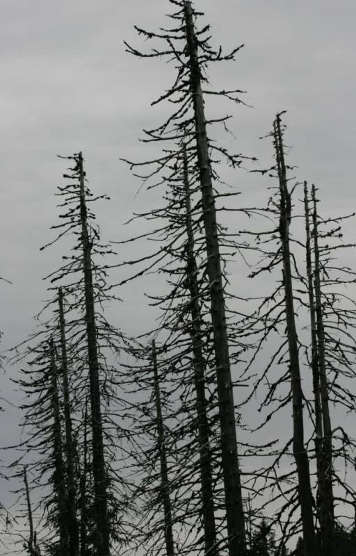 050724EOS_221.JPG