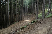 050719D70_009.jpg