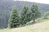 050720EOS_166.jpg