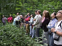 050721CP9_020.JPG