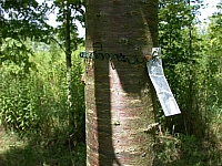 050721CP9_072.JPG