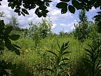 050721CP9_074.JPG