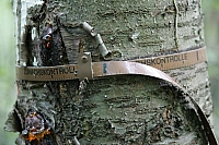050721EOS_122.jpg