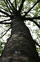 050721EOS_140.jpg