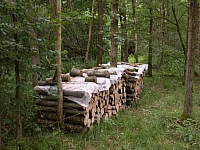 050722CP9_064.JPG