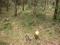 050722CP9_065.JPG