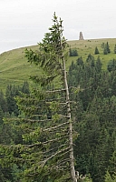 050724EOS_187.JPG