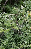 050724EOS_219.JPG