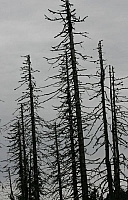 050724EOS_221.JPG
